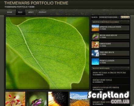 Portfolio | ThemeWars Premium Template