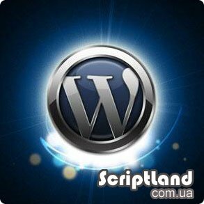 WordPress 3.1 RUS WordPress 3.1 RUS